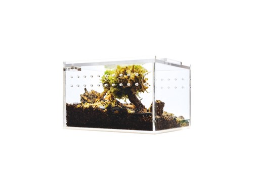 Herpcult acrylic reptile - herpcult,