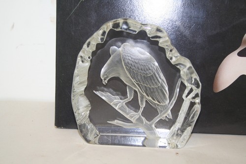 Glass eagle paperweight - glass,