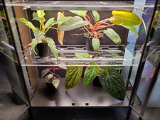 Rudsta Wide Acrylic Shelves -