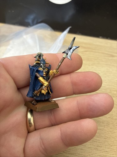 Dark elves black guard - elves,