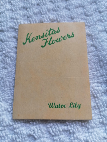 Kensitas silk flowers 1930s - silk,