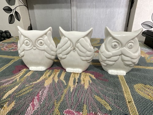 Set owls white see - of,