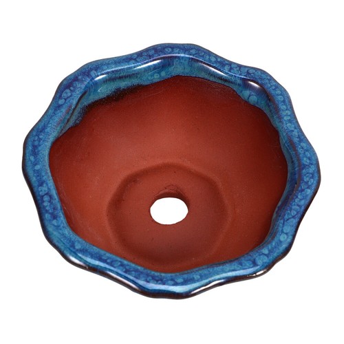 Shallow succulent planter - succulent,