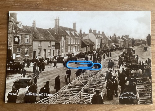 Cattle market thame animated - cattle, thame.