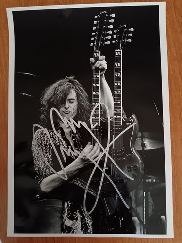 Poster jimmy page led - page.,