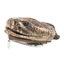 Genuine Taxidermy Rattlesnake