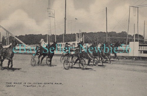 Trenton harness horse - nj,