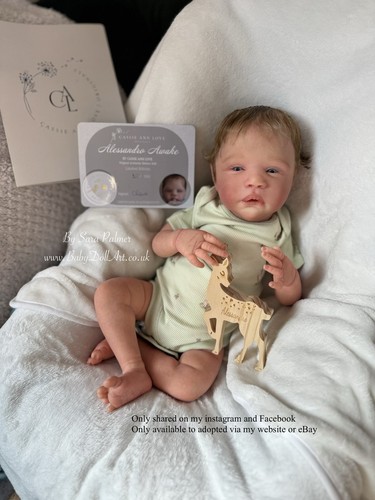 Reborn baby boy - reborn,