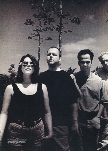 The pixies a4 - the,