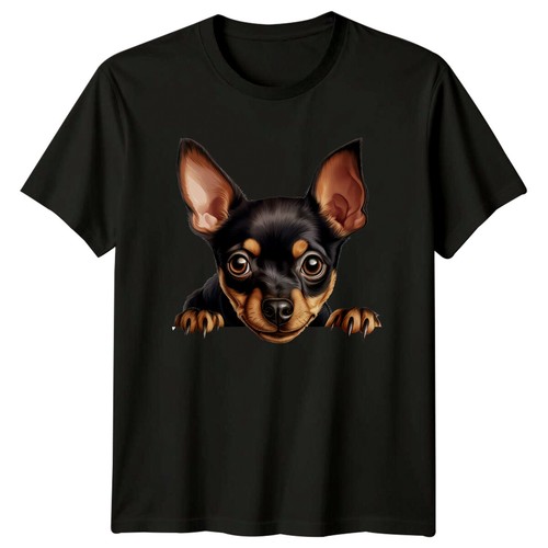 Cute miniature pinscher - pinscher, dog