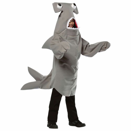 Hammerhead shark ocean sea - hammerhead,