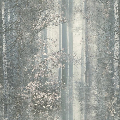 Muriva woodland natural - woodland,