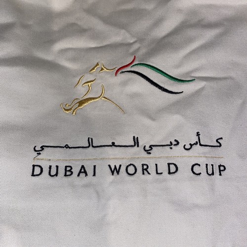 Horse racing dubai - racing, cup