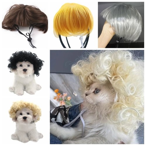 Pet wig small - cat, cosplay
