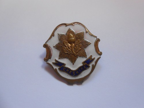 The cheshire regiment - the,