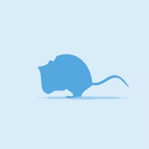 Frozen large mice 30g - large, mice,