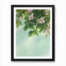 Favia Ii Storybook Watercolour