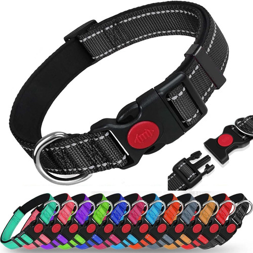 Dog collar reflective - dog,