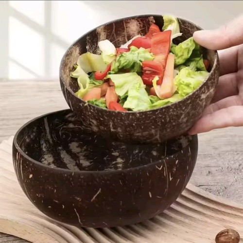 Natural coconut shell bowls - natural,
