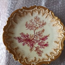 Limoges Purple fern Porcelain Plate Gilt Rim Star Mark D 9 1/4"