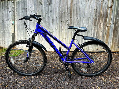 2019 python rock hardtail - 2019,