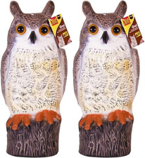 2x The Big Cheese Owl Repel