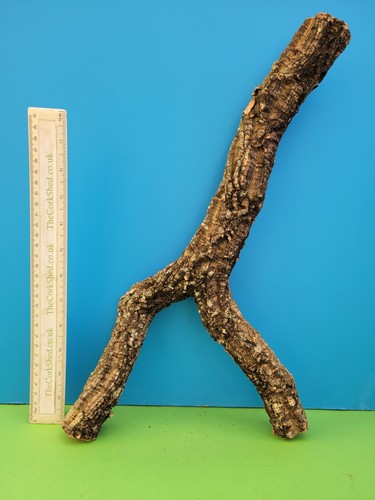Cork bark branch - 41cm, snake