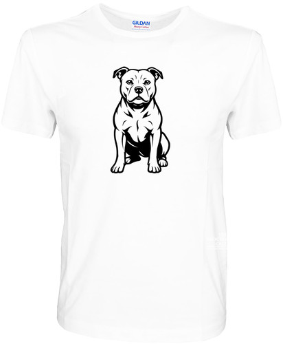 Staffordshire bull terrier - terrier,