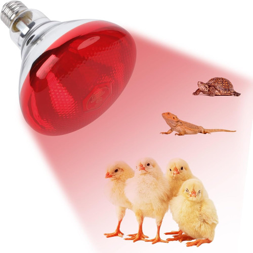 Infrared heat lamp bulbs - lamp,