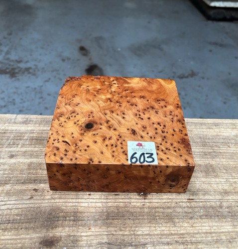 Thuya burr 6 x - burr,