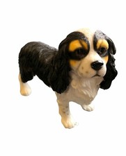 Medium Size Black White