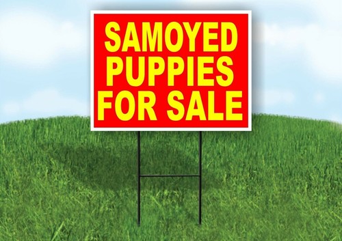 Samoyed puppies for sale - samoyed,