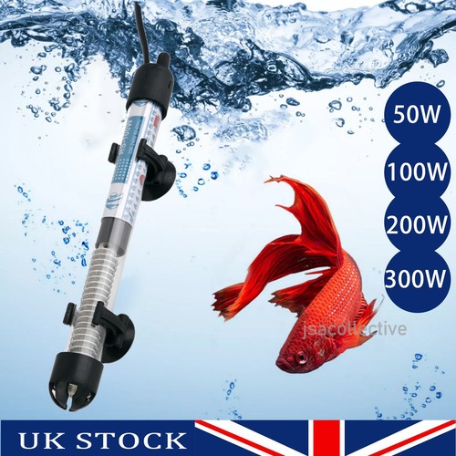 Aquarium marine fish tank - fish,
