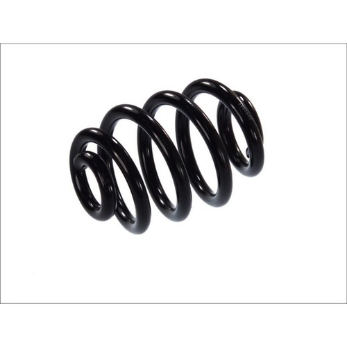 Coil spring rear r - l/r, fits