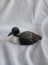 Nature's Window Loon