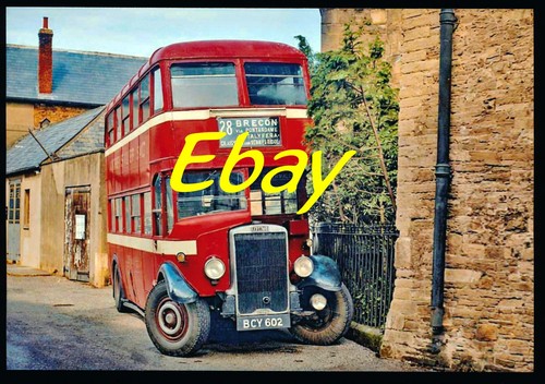 Bus photo leyland - bus, south