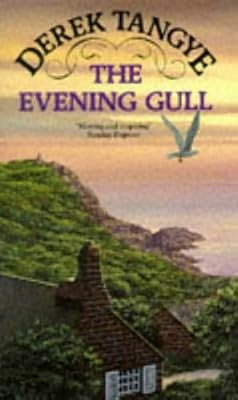 Evening gull minack - evening,