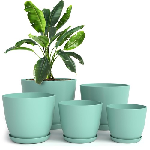 Aqua indoor plant pots with - plant,