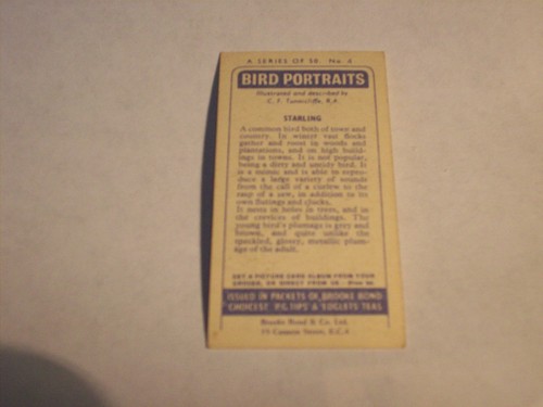 Brooke bond spare - card, offer