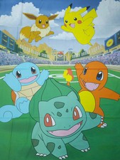 Pokemon Football Pitch 100%