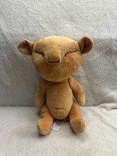 Disney Lion King the Musical