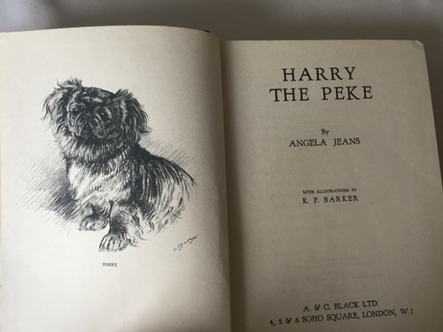 Harry the peke angela - by, jeans