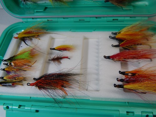 Box salmon flies - of,