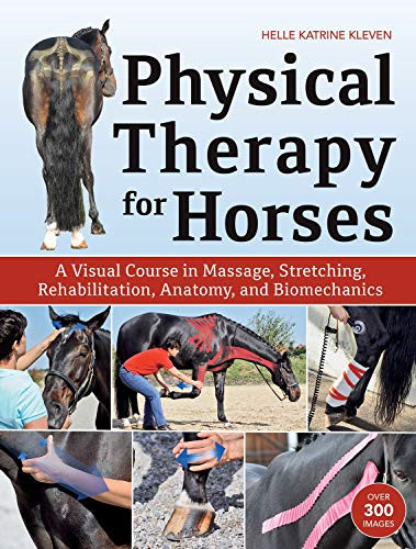 Physical therapy for horses - physical, a