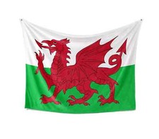 Wales Flag Welsh Dragon Custom
