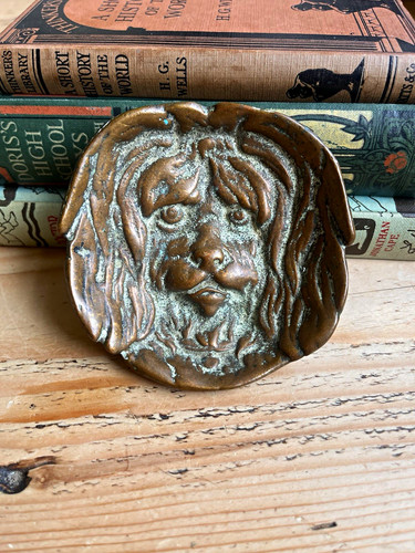 Antique art nouveau bronze dog - nouveau,