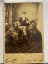 antique Cabinet Card photo 2 St Bernard dog photo by Green of Rhondda Valley 