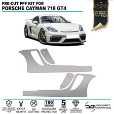 Sill Skirts PPF Paint