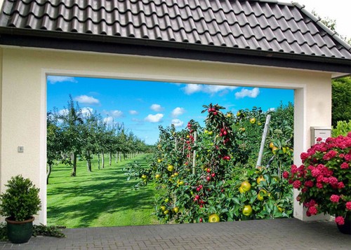 Lawn orchard n020 garage - orchard,