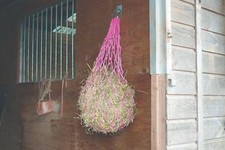 Perry Large Mesh Ring Hole